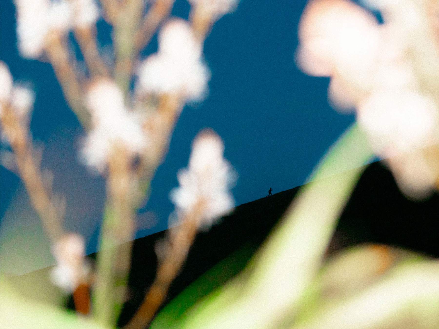 Runner training outdoors, IO performance skincare tested in real conditions